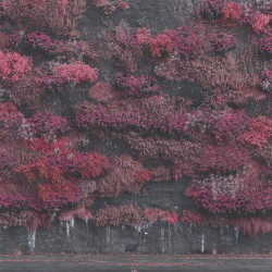 Sleep Token - Even in Arcadia  - CD