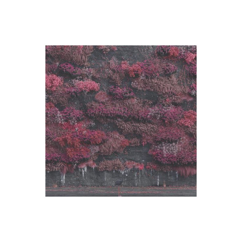 Sleep Token - Even in Arcadia  - CD